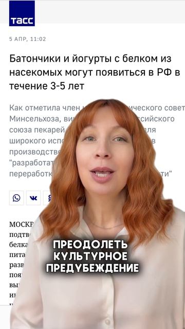 Насекомые в хлебе, йогурте, батончиках, снеках, фарше, коктейлях и даже в шоколаде!