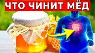 2 и 3 Мая Что Произойдет с Вашим Телом, Если Есть Мед Каждый День! Результат Вас Удивит…