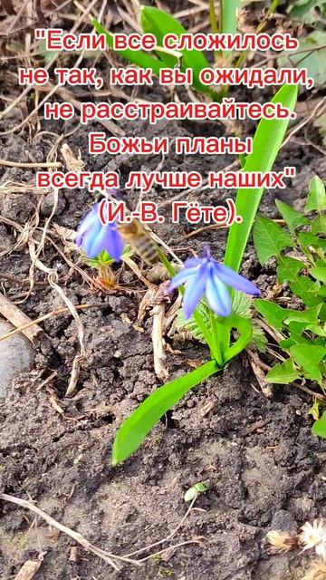 Всё идёт по плану!