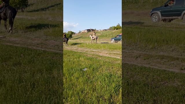 Конный 🐎 Переход в Ст Перекопская