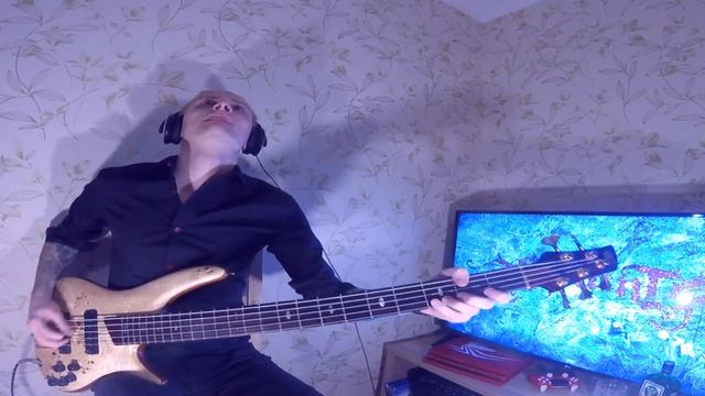 Spaint - Живые Камни (bass playthrough)