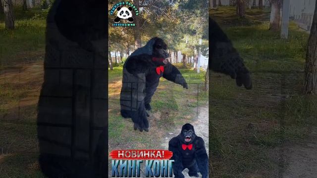 У нас новинка! Кинг-Конг!