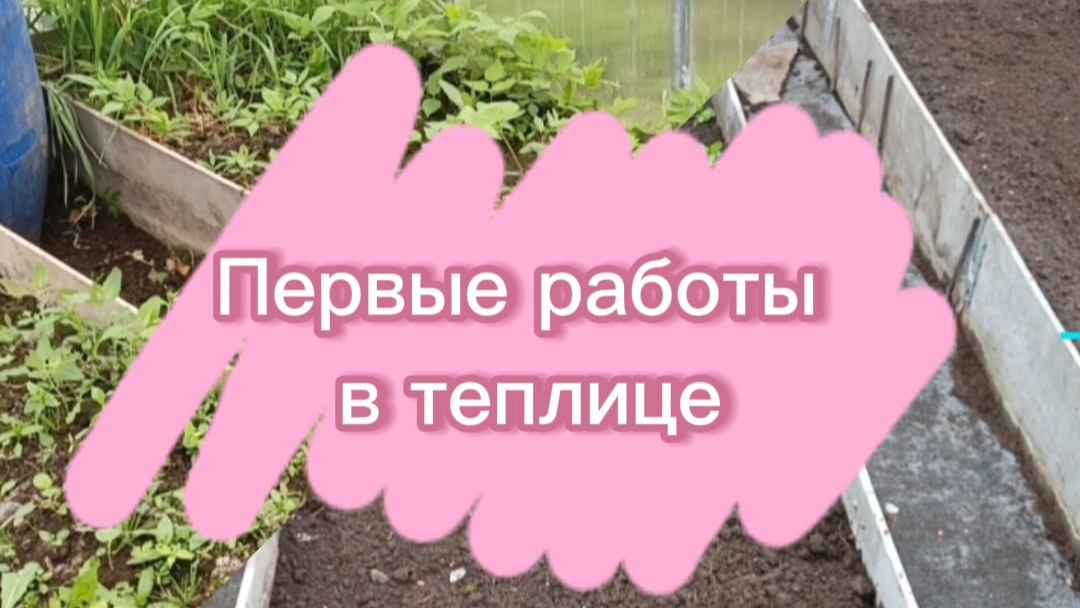 👨🌾 Первомай на огороде 2025. Работы в теплице
