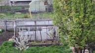 Уютный деревенский огород, счастливая деревенская жизнь, маленькая вишня цветет, уют в деревне