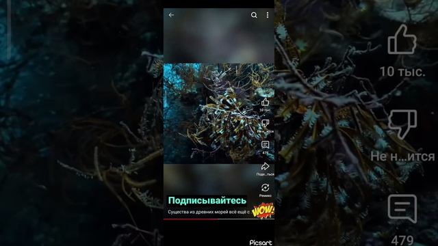 Существа из древних морей ещё среди нас