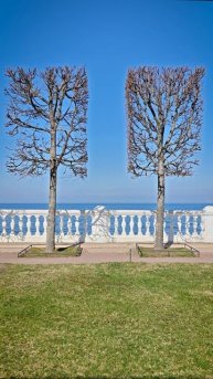 Moments. Between two trees