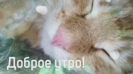 C Днем Рождения, Тебя 🎁 Красивое Поздравление Женщине С Днем Рождения Короткое