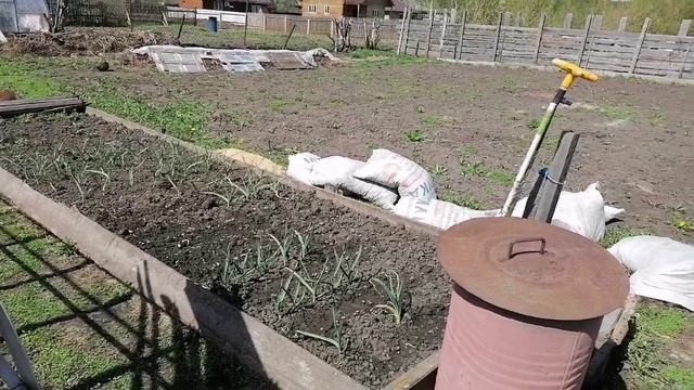 Ирина и творения. 30 апреля и 1 мая.