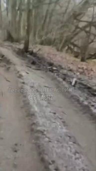Встреча наших морпехов с бойцами из Серевной Кореи в Курской области.