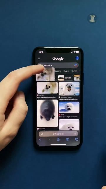 Как на iPhone быстро и удобно скачать картинки