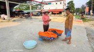Catch Field Mice, Many Fish, Harvest Chicken Egg...Goes To Countryside Market Sell / Ly Tieu Toan