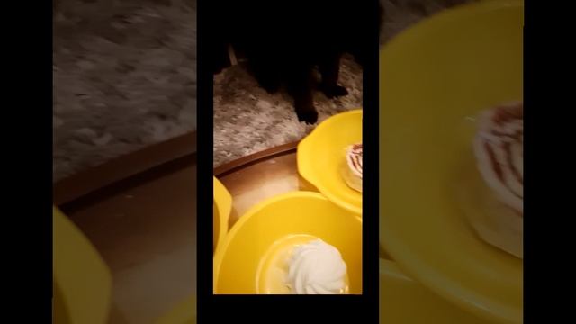 Косплей на котинэт только немного по своему