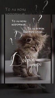 Доброе утро #доброеутро #благодарность