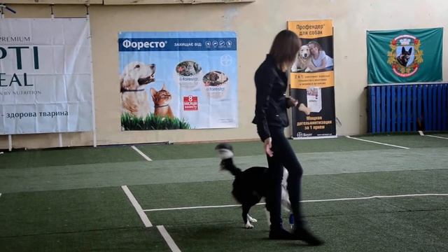 Корж Екатерина и бк Chelsea from Kasta Ukraine - 2 место открытый фристайл