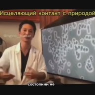 Заземление. История и исследования влияния контакта с землёй на гомеостаз человека.