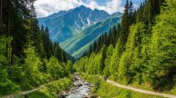 Дикий туризм (33)