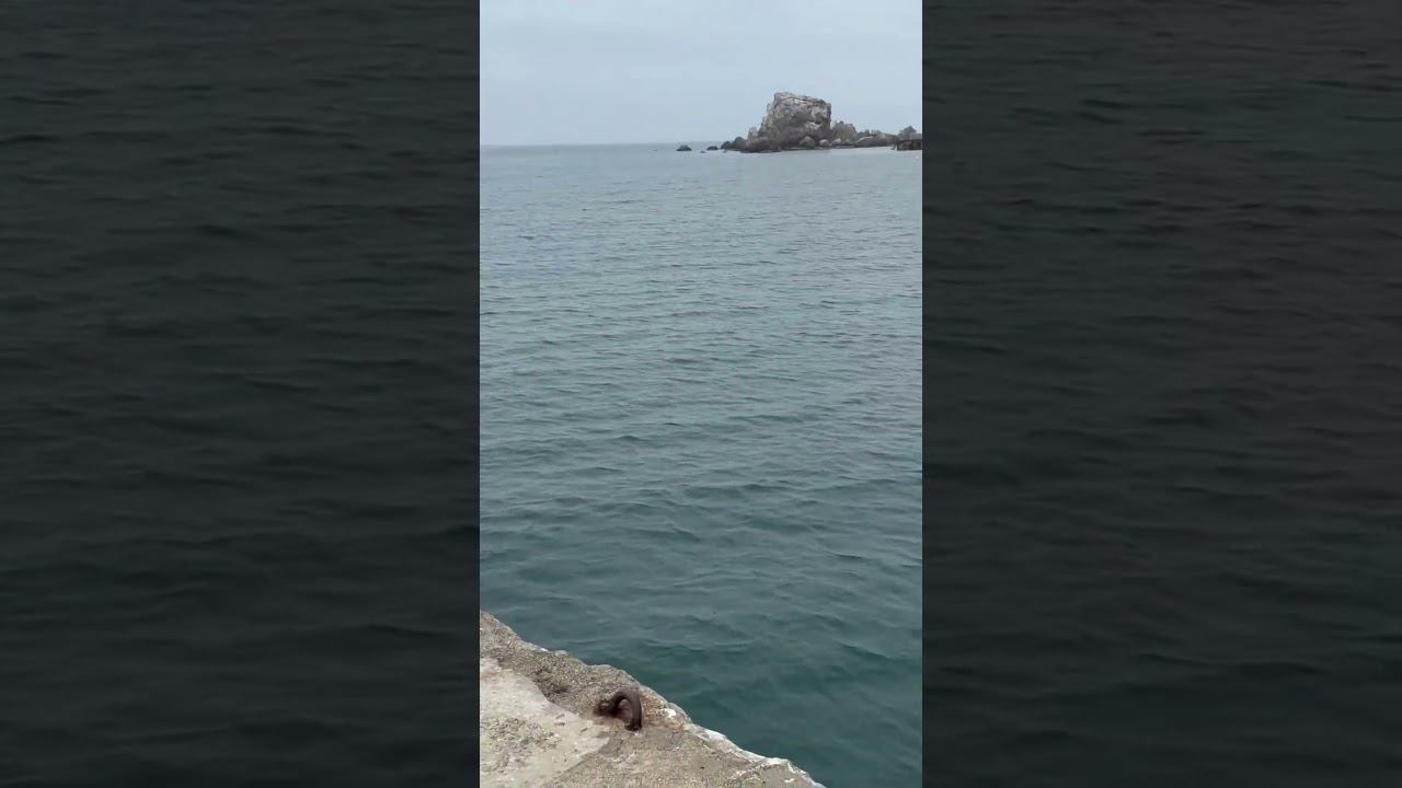 Причал Судак Море/ С Вас подписка