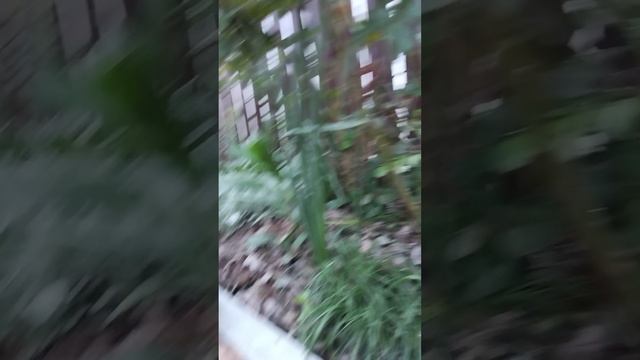 ржачные видео наверное
