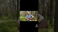 Гусли В Вологдегде
