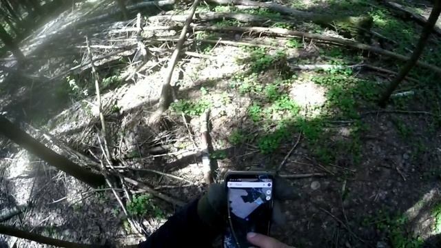 #VLOG ЛЕШЕГО #1 (походы/юмор/красота леса)