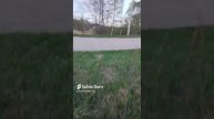 1000022030.mp4