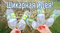 Почему я Раньше до этого не додумался, Как сделать органайзер для инструмента за 4 минуты!