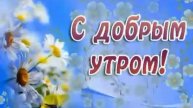 Всем прекрасного дня