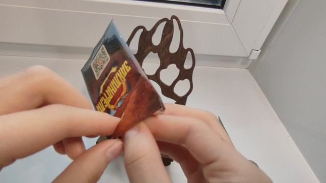 Заклинатели из дикси