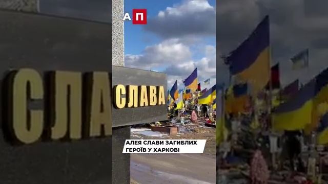 Цена правления Зеленского на ваших экранах