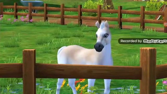 Star Stable 1 серия { пасхалка найдите колесо }