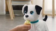 Щеночек Bowie Club Petz