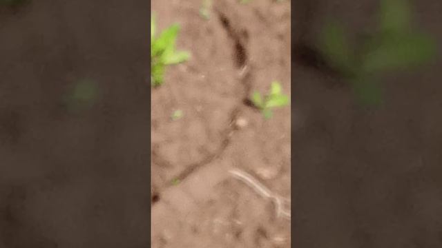 1000001884.mp4