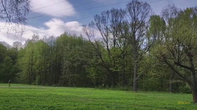 Измайловский парк 28.04.2025