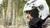 Настоящий грязевой экстрим от компании Снеготрек