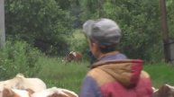 Утро. Потеряевка. 19. 06. 2016