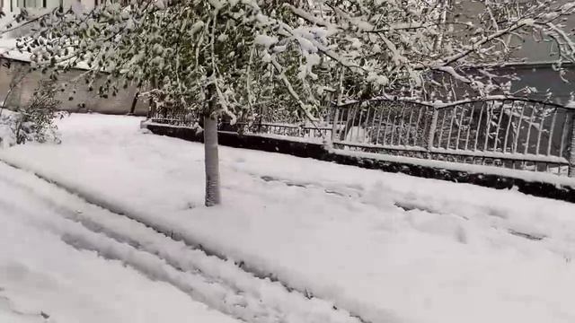 Снег на Пасху в Днепропетровске 2017. Снежная стихия весной. Снег.