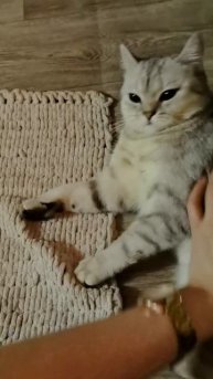 дожила до такого возраста...