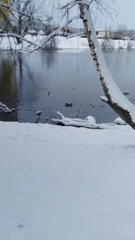 VID_20250409_080503.mp4