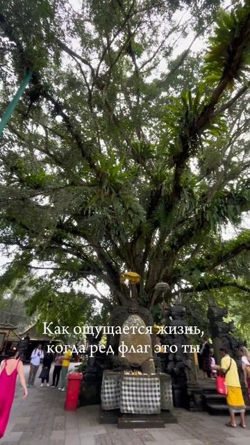#HRсНуля #УправлениеПерсоналом #КарьераHR #HRдляНачинающих #ОбучениеHR