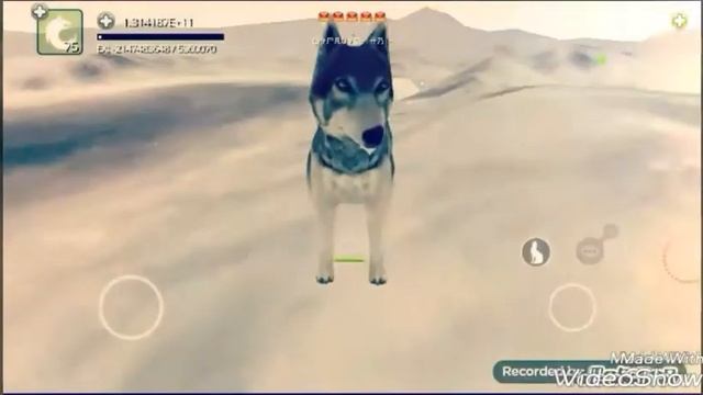 Музыкальное видео Wolf online