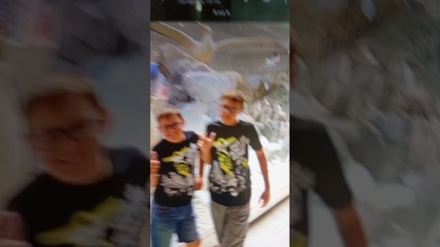 Дарвиновский музей зоологии в Москве
