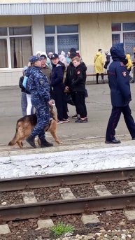 Собачка охранница.mp4