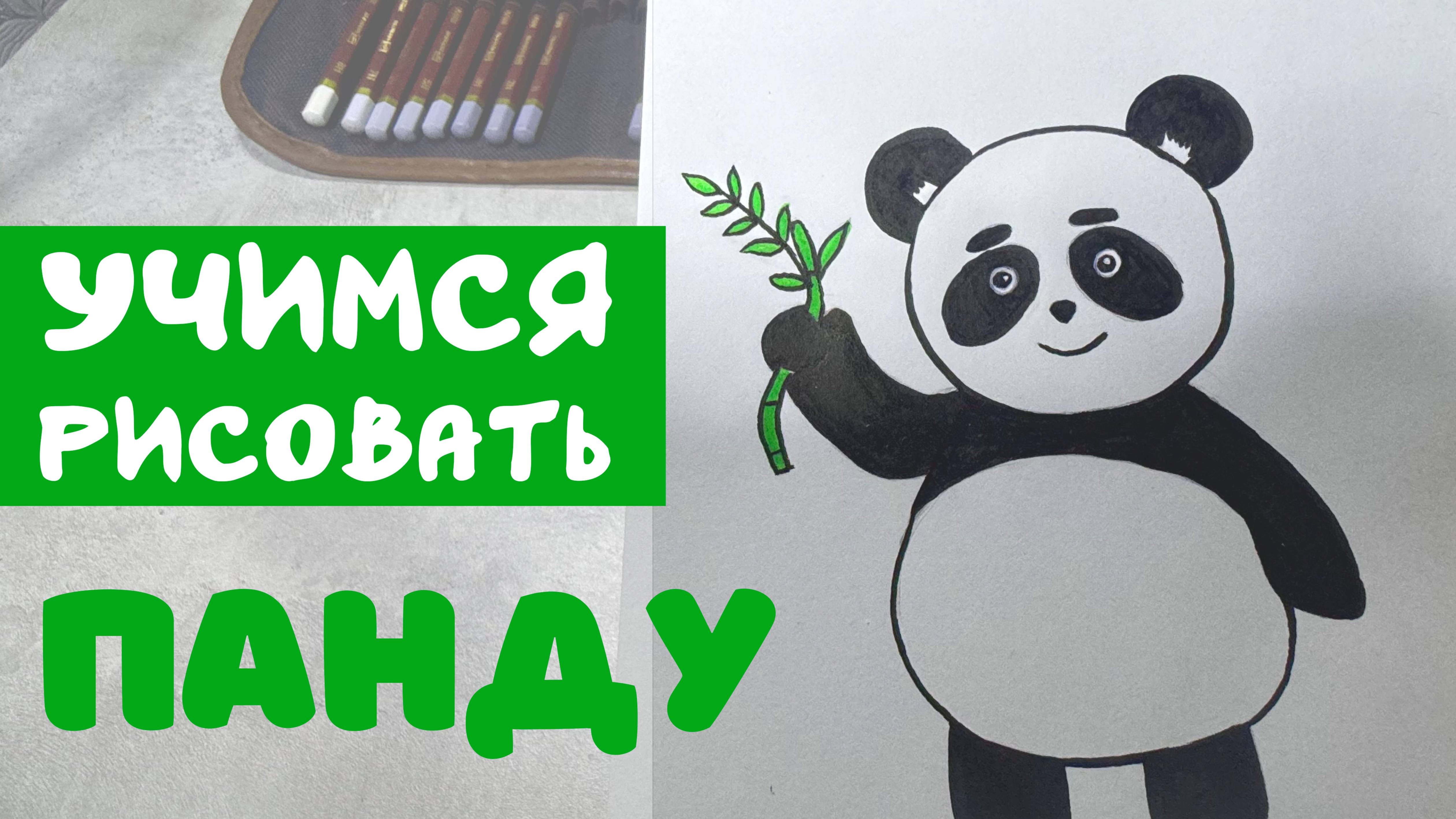 Учимся рисовать ПАНДУ
