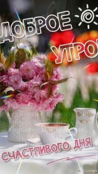 Доброе утро 💖Встречаем первое Майское утро🌿🌺🌿