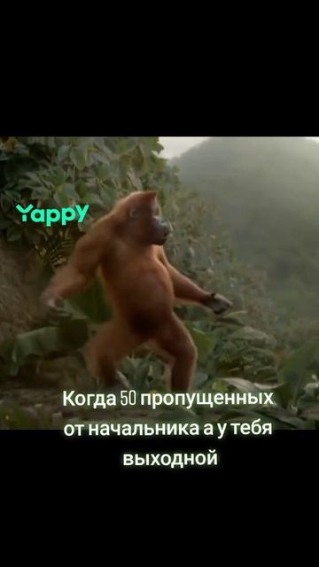 1000012223.mp4