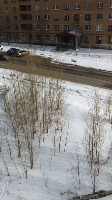 IPhone 4 запись с тыловой камеры