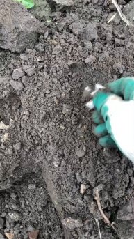 Типа находки )