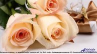 ❤ ❤ ❤ Мелодия, ведущая в неизвестность - Background Folk Inspiring -- BlackTrendMusic -- Upbeat Folk