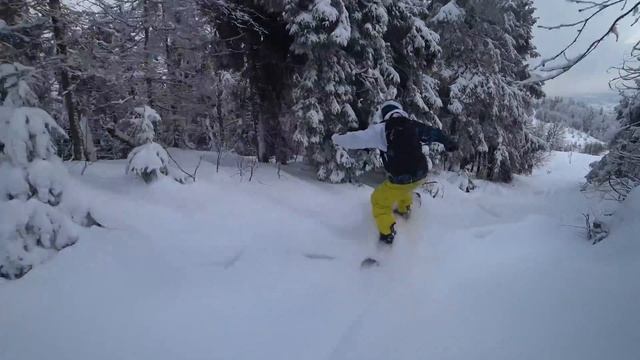 Тростян, фрірайд і ялинки. [freeride snowboarding at Trostian, Slavske. Carpathians]. 4K.