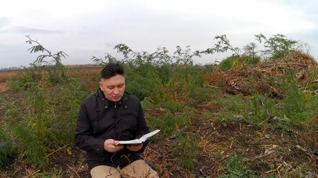 Сравниванивать себя с собою неразумно